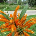 Picasa 2.7